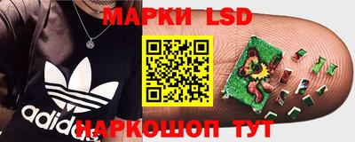 ALPHA PVP Пугачёв