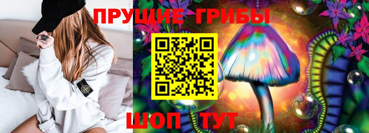 Северск  Псилоцибиновые грибы Psilocybine cubensis  хочу   Псилоцибиновые грибы Psilocybine cubensis  Вход с VPN 